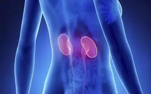 慢性肾炎肾功能正常饮食关注事项,慢性肾炎如何保护肾