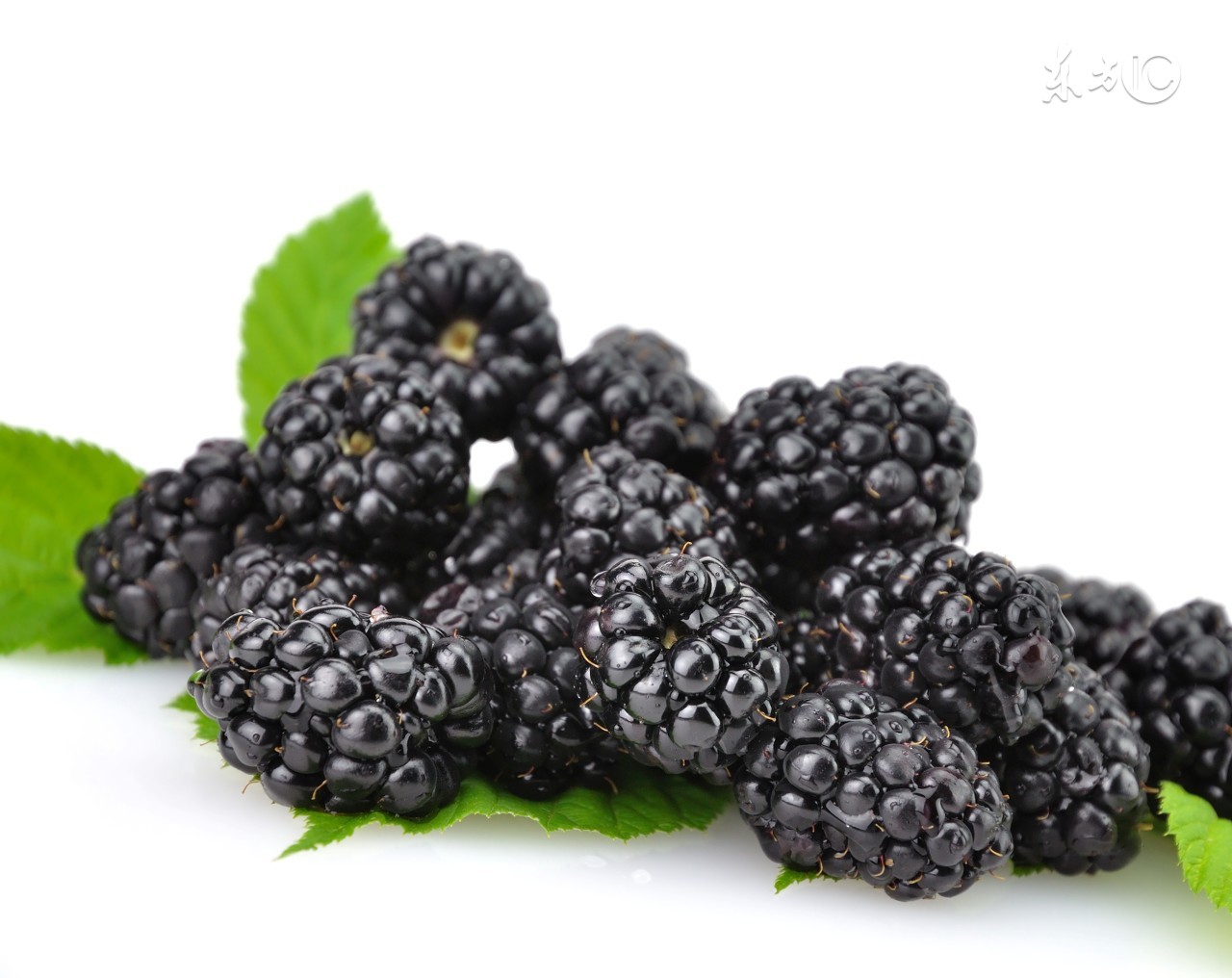 吃榴莲吃晕了,吃榴莲冒痘