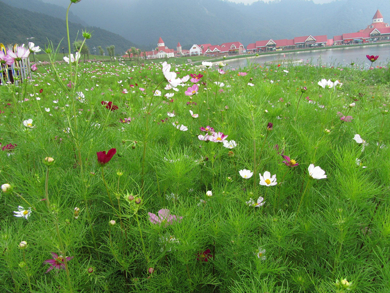 父亲节小孩一般给父亲送什么礼物,父亲节送什么礼物好简单手工