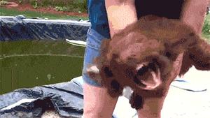 手写搞笑幽默段子文字,热门的幽默搞笑手写段子