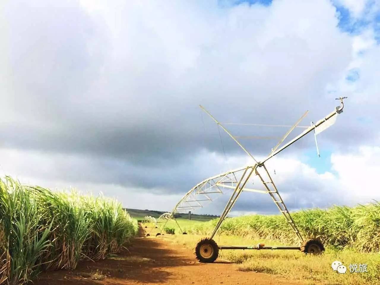 毛里求斯免签,毛里求斯在中国免签停留时间