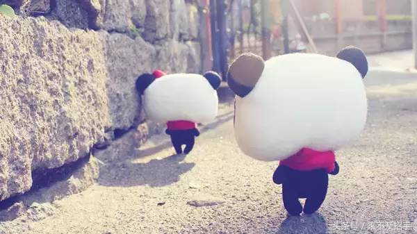 碰到极品婆婆你们怎么办？