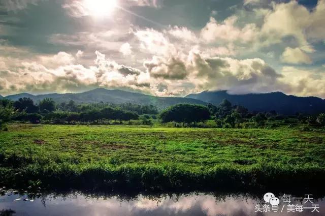 野外被蜈蚣蜇伤后应采取哪些措施,在家被蜈蚣咬最快解决方法