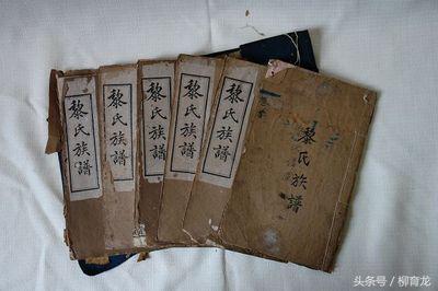 黎氏宗谱 (黎氏历史)