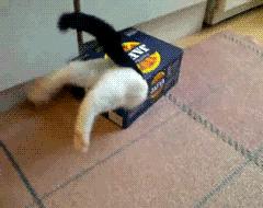 手写搞笑幽默段子文字,热门的幽默搞笑手写段子