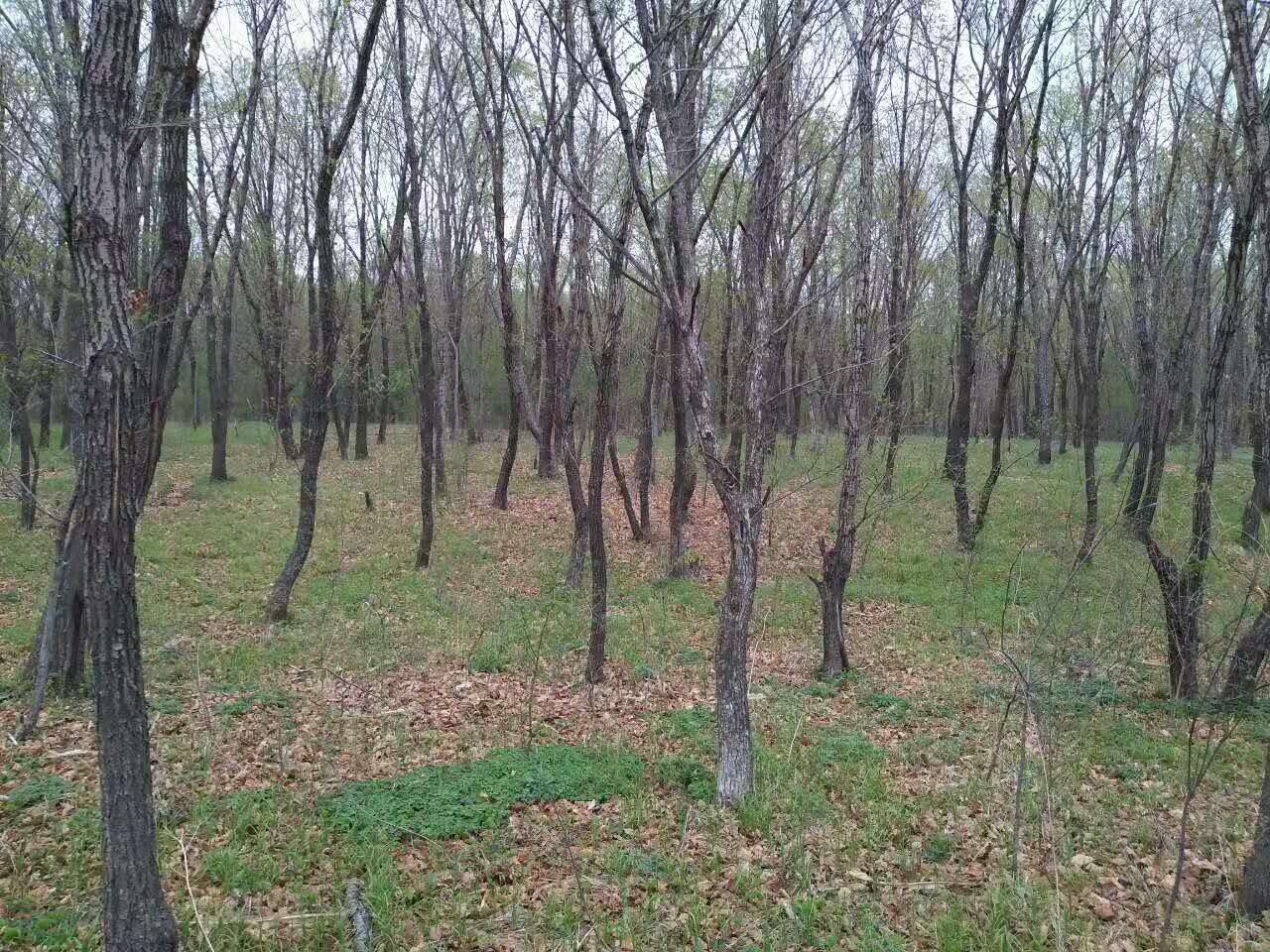 林业职工解雇了怎么办,林业六大工种取消了吗