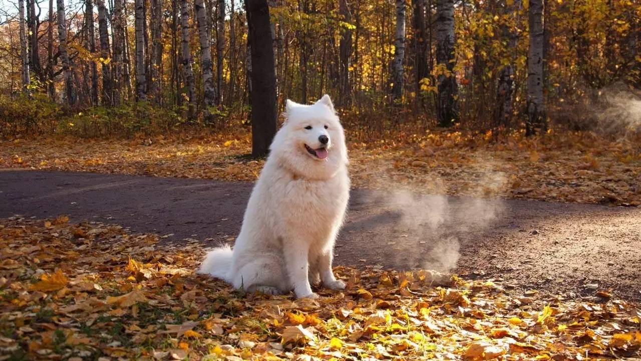 第n次不相爱,到农村卖净水器的骗术要怎样报警
