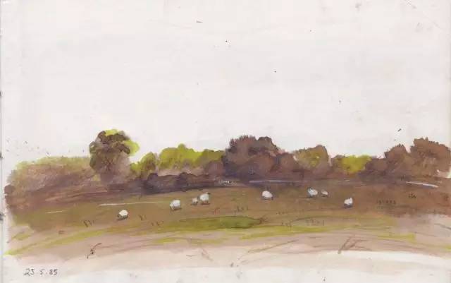 树丛｜大眼睛小眼珠，呆萌可爱舍夫勒