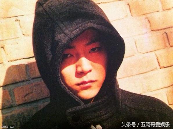 王菲朴树窦唯韩红,中国最值得称赞的人