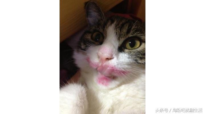 收了几支大牌口红试色,这几款高颜值口红你用了吗