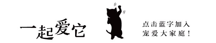 养宠小知识狗狗掉毛补什么营养,养宠知识狗狗腿瘸了不落地怎么办