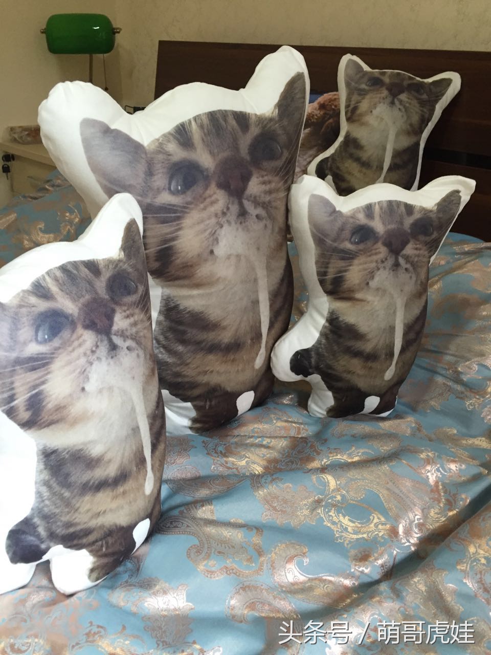 心爱的抱枕才抱了一晚上就被喵星人给糟蹋了，铲屎的：谁干的站出来保证不打死你