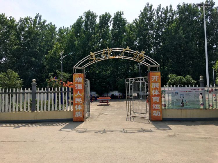 椹绘潙鏃ヨ鑷村姏鑴辫传鏀诲潥,鑴辫传鏀诲潥鏃ヨ