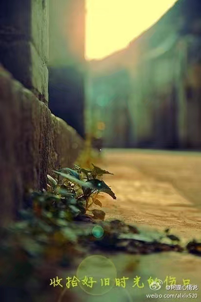 久别无恙和别来无恙意思一样么,别来无恙你别来我无恙意思