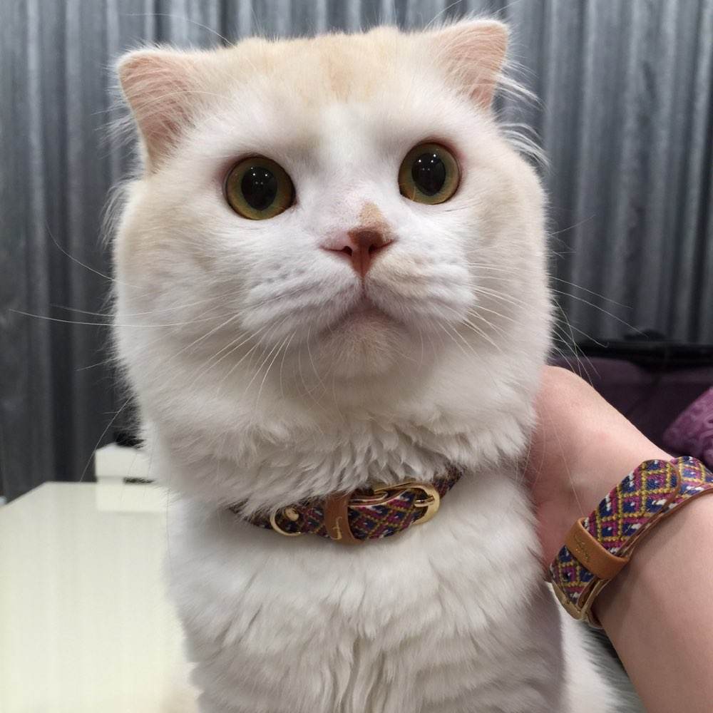 学生老师趣味短笑话,十条笑话老师