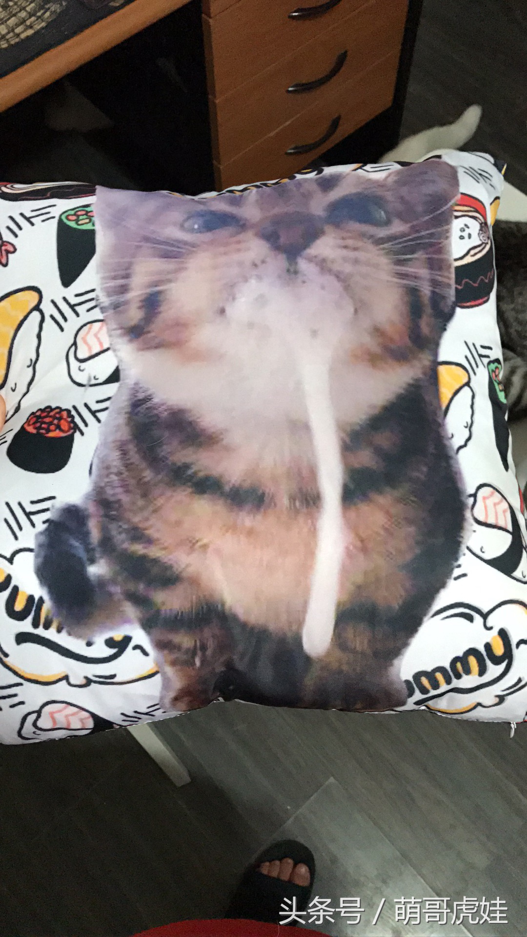 心爱的抱枕才抱了一晚上就被喵星人给糟蹋了，铲屎的：谁干的站出来保证不打死你