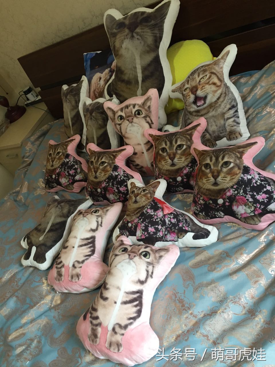 心爱的抱枕才抱了一晚上就被喵星人给糟蹋了，铲屎的：谁干的站出来保证不打死你