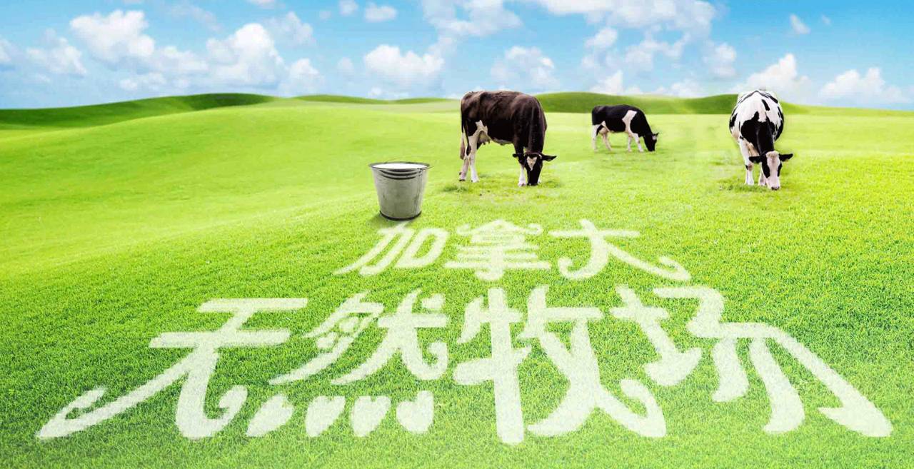 小萌国际馆拒绝添加真正的可携带纯天然鲜奶！