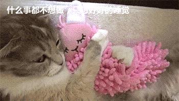 月经期要关注的那些事儿,月经期的症状和怀孕的一样吗