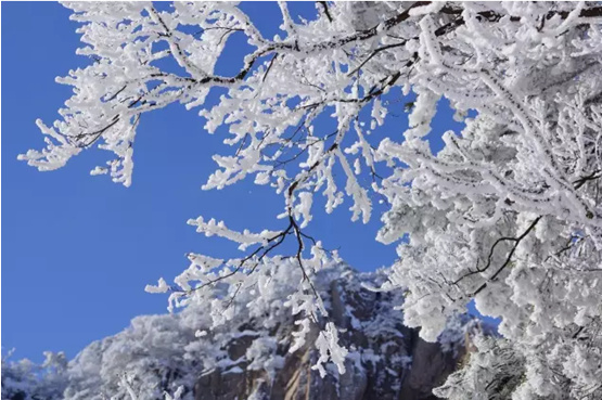 黄山自由行史上黄山最全攻略,黄山自由行路线攻略最新一期