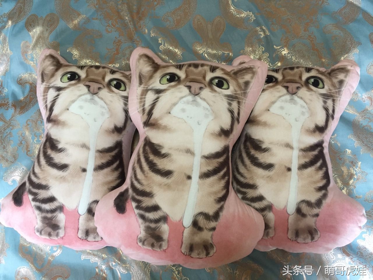 心爱的抱枕才抱了一晚上就被喵星人给糟蹋了，铲屎的：谁干的站出来保证不打死你