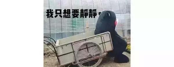 大脚买不到鞋,大脚买不到适合的鞋