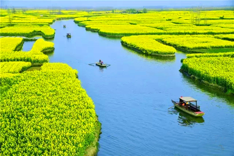 辨别平仄及入声字的简单方法,入声字总表及辨别巧记方法