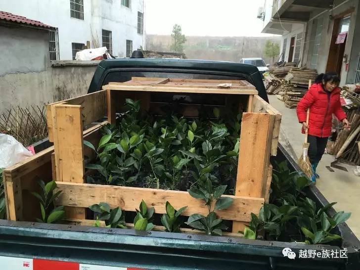 19年的庆铃皮卡,庆铃皮卡值得入手吗