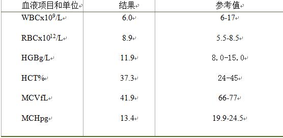 猫耳血肿怎么治疗,猫耳血肿怎么引起的