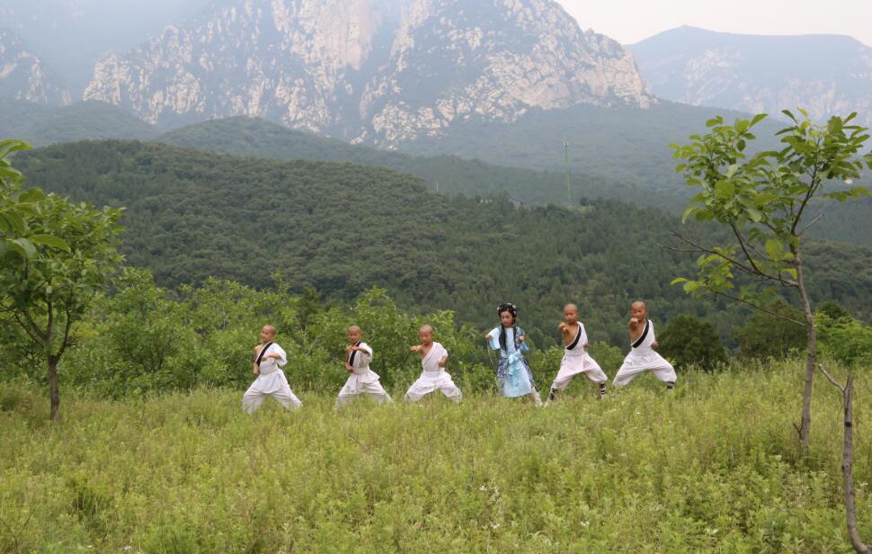 绔ユ槦鏉庨洩鑺鐚彨mv,鏉庨洩鑺墽缇婃洸