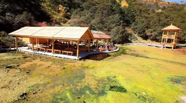 川西最美草原,川西绝美小众秘境草地