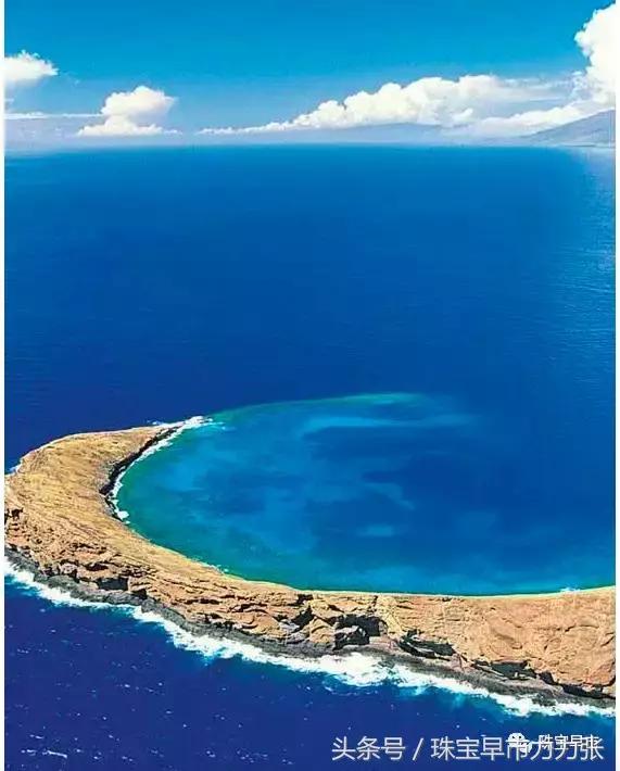 真正的野生珍珠图片,野生珍珠贵吗