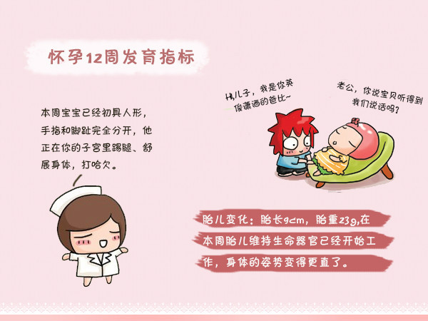 怀孕初期一到三个月要关注什么,怀孕早期三个月要关注什么