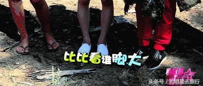 和明星去旅行悉尼,和明星去旅行第二季第七集