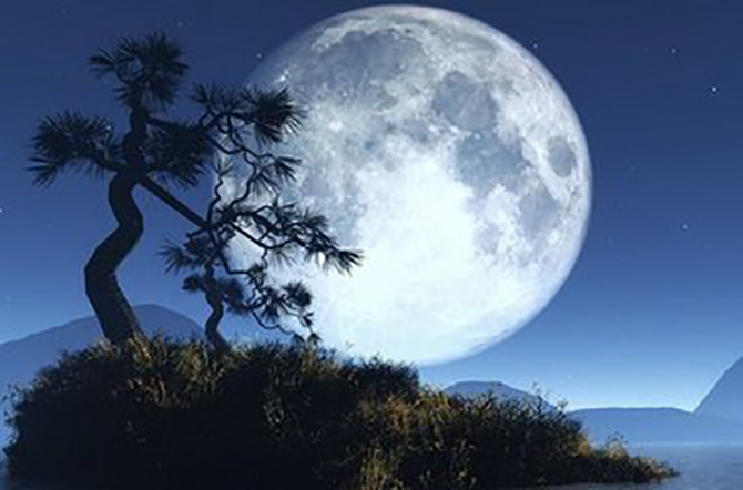 人有所舍必有所成,做到有舍才有得太难了