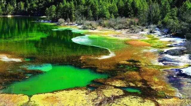 川西最美草原,川西绝美小众秘境草地