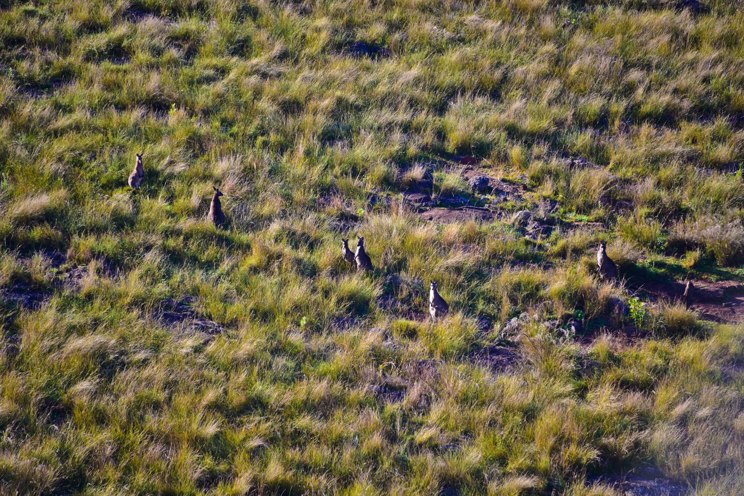 在猎人谷邂逅美酒和热气球