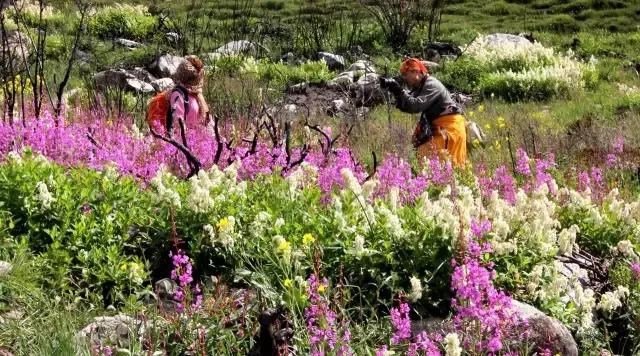 川西最美草原,川西绝美小众秘境草地