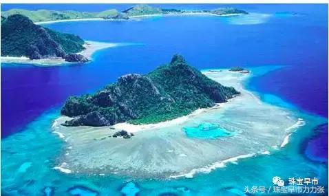 真正的野生珍珠图片,野生珍珠贵吗