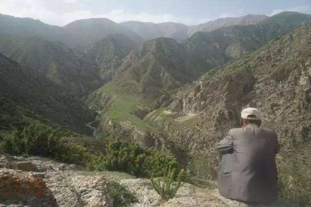 九零后牧羊人,新疆年轻牧羊人