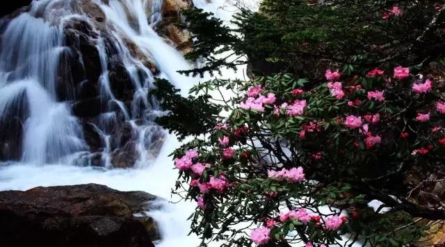 川西最美草原,川西绝美小众秘境草地