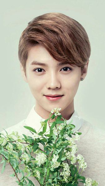 鹿晗勋章歌词壁纸图片,鹿晗关晓彤图片壁纸全屏