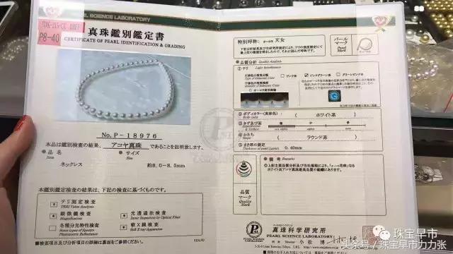 真正的野生珍珠图片,野生珍珠贵吗