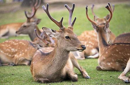 一周游玩攻略省钱,一周旅游自由行攻略