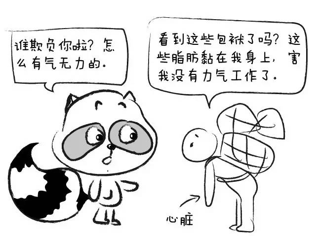 腰围粗就是内脏脂肪吗,腰围粗但是肚子上没肉