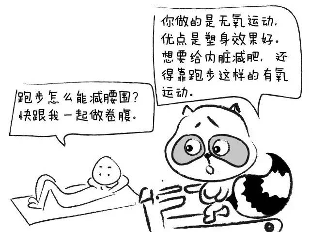 腰围粗就是内脏脂肪吗,腰围粗但是肚子上没肉