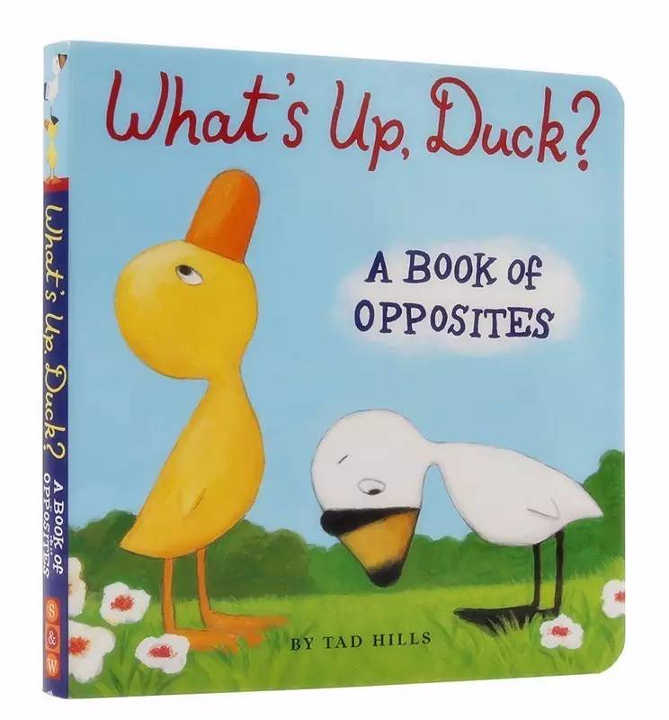 亚马逊孩子必读书单,亚马逊儿童画册