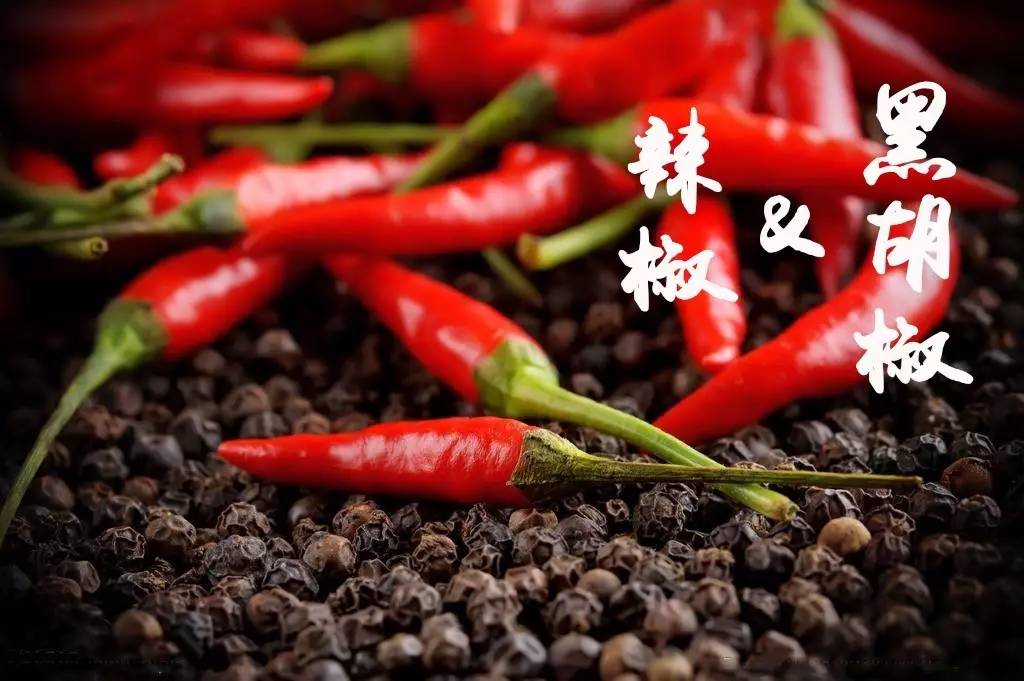 远离痛经的9个方法,远离宫寒痛经小技巧