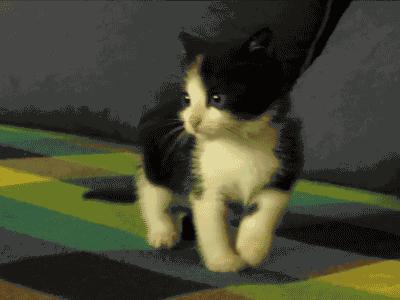 网红大蛋挞外酥里嫩超级好吃的,9.9网红蛋挞