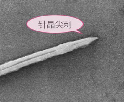 服用中药半夏要忌什么,半夏中药的功效与作用